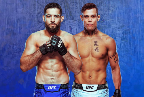 Assistir Nassourdine Imavov x Caio Borralho ao vivo online 06/09/2025 Ao Vivo Online Grátis 24 Horas HD